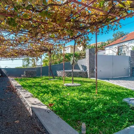 Lux Câmara de Lobos